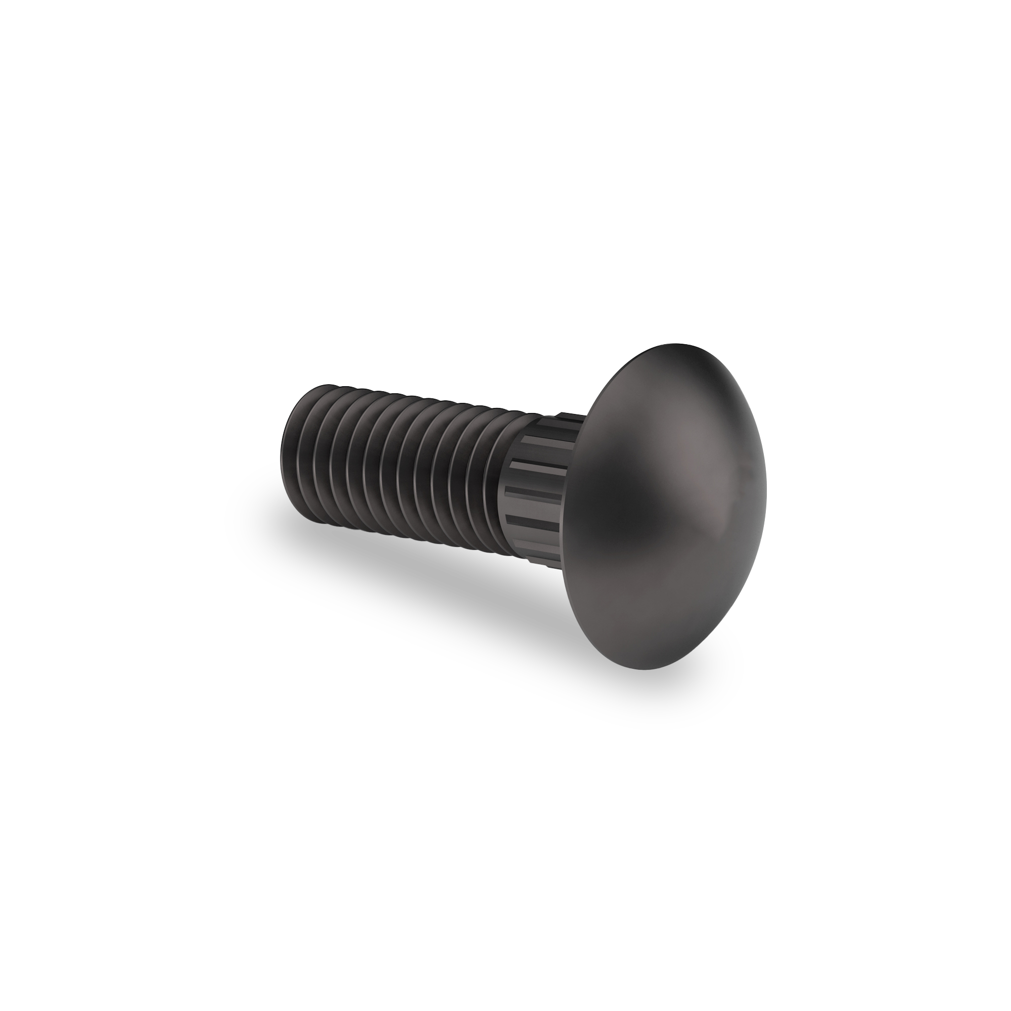 Ribbed Neck Carriage Bolt