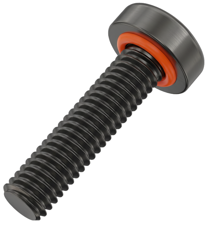 Sealing Screw