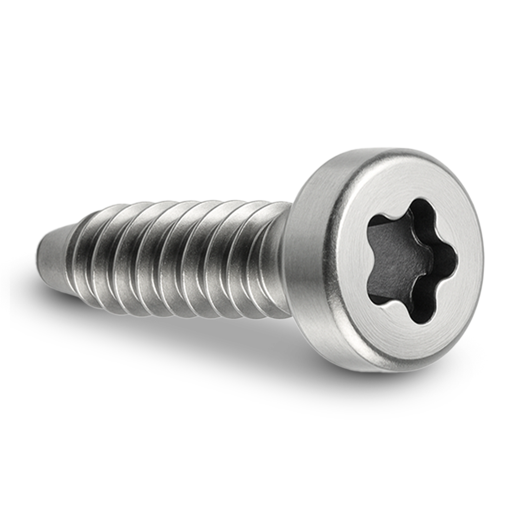 Pentalobe Screw