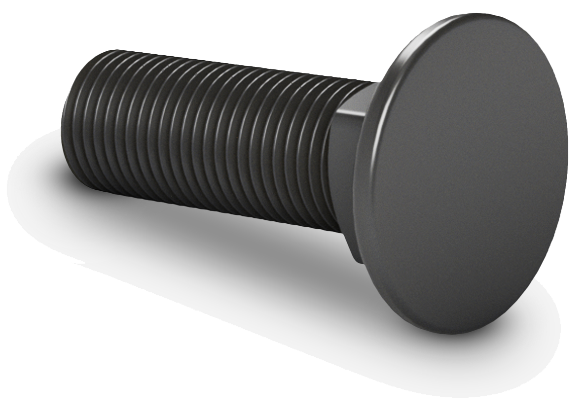 Flat Head Carriage Bolt