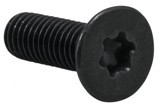 Torx Screw